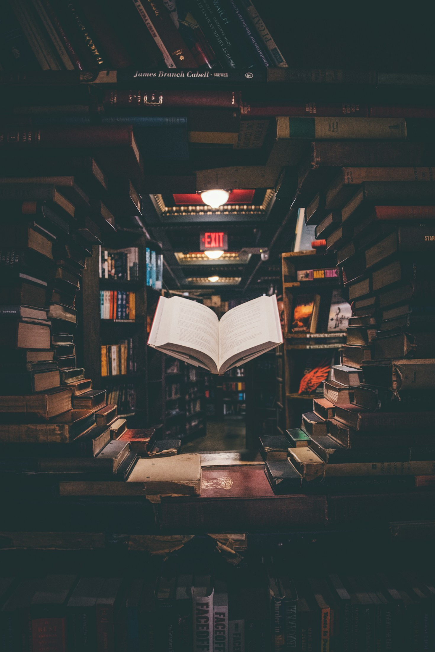 Como a Pedagogia de Paulo Freire Transforma a Educação